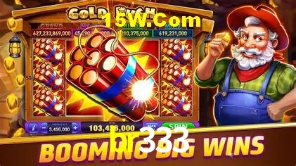 Flash Promotion br333