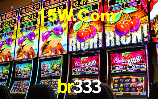 Premium Interface br333