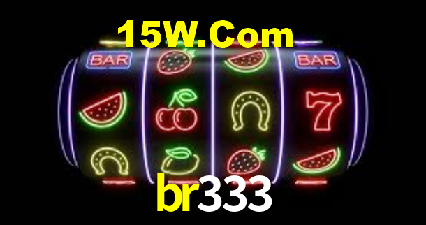 br333 App Interface